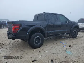 2024 Ford F-150 Raptor with VIN 1FTFW1RG2RFB14249, listed as a Copart auction lot 48995785 with 822 mi miles and Salvage Title. Bid and sale history available at DreamBid. Image 3.