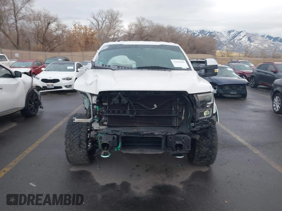 2017 Ford F-150 XL with VIN 1FTEW1EP5HFA52345, listed as a IAAI auction lot 41059665 with 134,193 mi miles and . Bid and sale history available at DreamBid. Image 12.