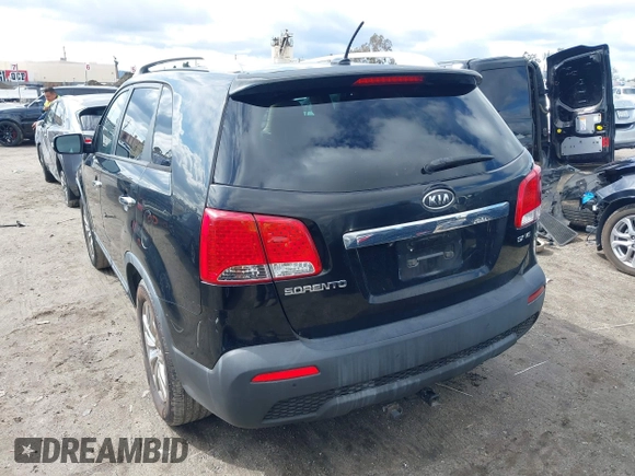 2011 Kia Sorento EX with VIN 5XYKU4A24BG053222, listed as a IAAI auction lot 41741806 with 1 mi miles. Bid and sale history available at carsss.com. Image 3.