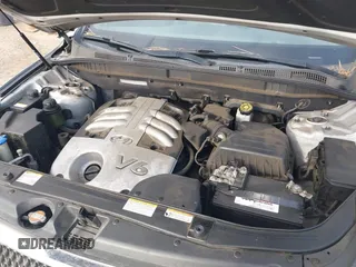 2007 Hyundai Veracruz GLS with VIN KM8NU73C77U017997, listed as a IAAI auction lot 41915209 with 182,576 mi miles and . Bid and sale history available at DreamBid. Image 10.