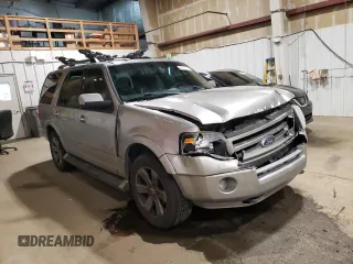 2008 Ford Expedition Limited с VIN 1FMFU20528LA34579, выставлен на аукционе Copart как лот 60508305 с пробегом 259 871 миль миль и Списание • Salvage title. История ставок и продаж доступна на DreamBid. Изображение 4.