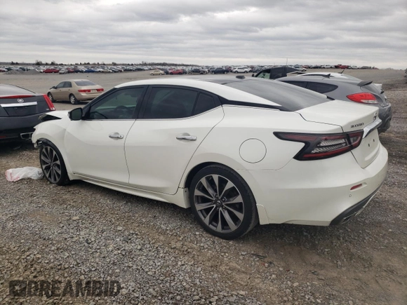 2019 Nissan Maxima Platinum z VIN 1N4AA6AV0KC363601, wystawiony jako Copart lot #49549415 z przebiegiem 75 551 mil mil oraz Szkody całkowita. Historia ofert i sprzedaży dostępna na DreamBid. Obrazek 2.