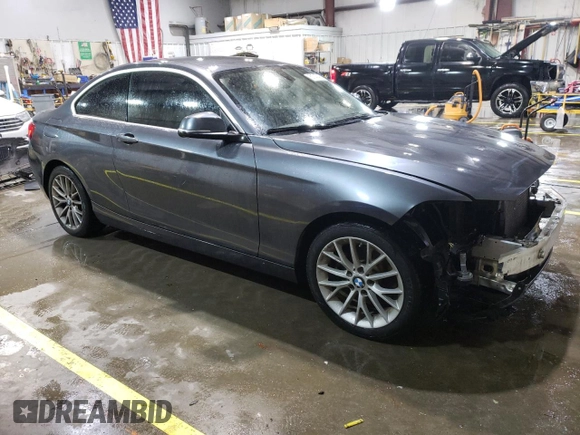2015 BMW 2 Series 228i with VIN WBA1F5C57FV256684, listed as a Copart auction lot 51747435 with 136,140 mi miles and Clean Title. Bid and sale history available at carsss.com. Image 4.