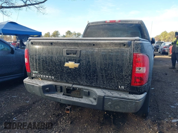 2010 Chevrolet Silverado 1500 LS with VIN 3GCRKREA9AG151200, listed as a IAAI auction lot 41172064 with 113,662 mi miles. Bid and sale history available at carsss.com. Image 16.