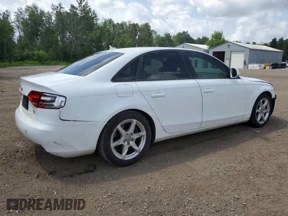 2009 Audi A4 with VIN WAULF68K59N025039, listed as a Copart auction lot 61571575 with Not provided miles and Salvage title. Bid and sale history available at DreamBid. Image 3.