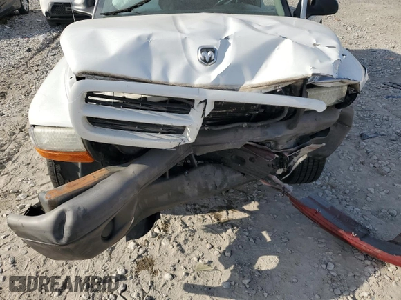 2003 Dodge Dakota with VIN 1D7FL16XX3S353971, listed as a Copart auction lot 77018554 with 0 mi miles and Salvage Title. Bid and sale history available at carsss.com. Image 12.