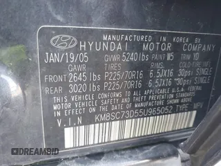 2005 Hyundai Santa Fe GLS with VIN KM8SC73D55U965052, listed as a IAAI auction lot 42124944 with 117,178 mi miles. Bid and sale history available at carsss.com. Image 9.