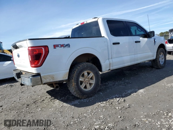 2023 Ford F-150 XL with VIN 1FTFW1E59PKE35312, listed as a Copart auction lot 86181444 with 19,849 mi miles and Salvage Title. Bid and sale history available at carsss.com. Image 3.