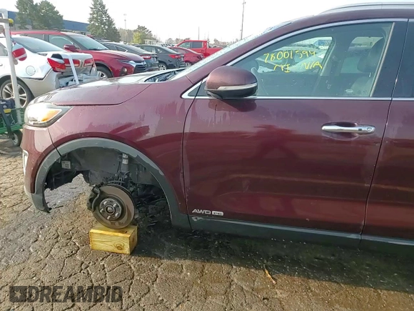 2017 Kia Sorento EX with VIN 5XYPHDA52HG250659, listed as a Copart auction lot 78001594 with Not Provided miles and Clean Title. Bid and sale history available at DreamBid. Image 14.
