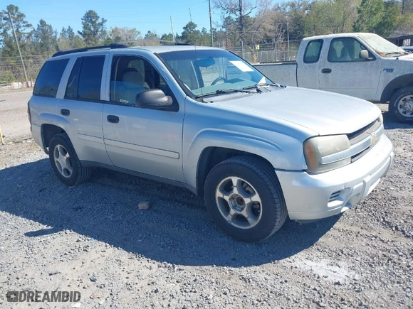 2007 Chevrolet TrailBlazer LT with VIN 1GNDS13S472204966, listed as a IAAI auction lot 41878317 with 253,490 mi miles. Bid and sale history available at carsss.com. Image 1.