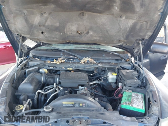 2005 Dodge Dakota SLT with VIN 1D7HW42N05S365877, listed as a IAAI auction lot 40418188 with 280,423 mi miles and . Bid and sale history available at DreamBid. Image 10.