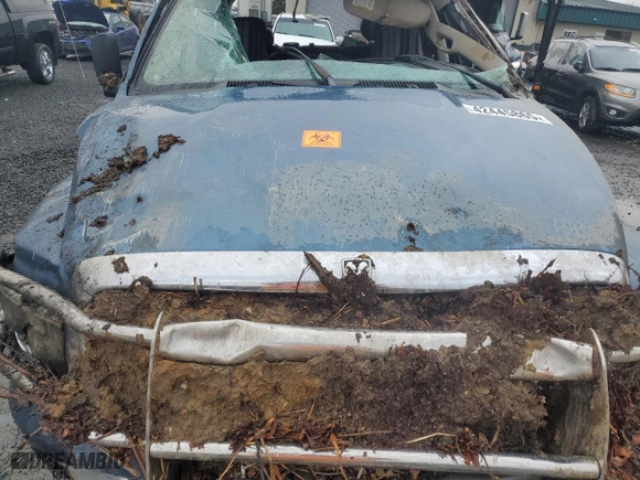 2005 Dodge Ram 2500 SLT with VIN 3D7KS28C65G810903, listed as a Copart auction lot 42445865 with 0 mi miles and Salvage Title. Bid and sale history available at carsss.com. Image 12.