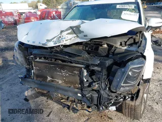 2020 Kia Telluride S with VIN 5XYP64HC6LG012137, listed as a IAAI auction lot 41920327 with 95,829 mi miles and . Bid and sale history available at DreamBid. Image 6.