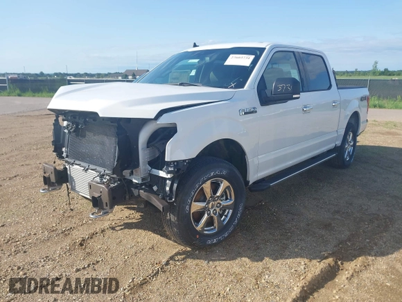 2019 Ford F-150 XL with VIN 1FTEW1EP7KFC62954, listed as a IAAI auction lot 27603731 with 14 mi miles and . Bid and sale history available at DreamBid. Image 2.