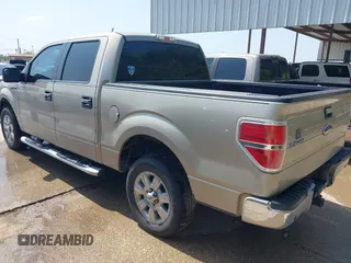 2010 Ford F-150 XL with VIN 1FTEW1C87AFD11189, listed as a IAAI auction lot 41927400 with 143,851 mi miles. Bid and sale history available at carsss.com. Image 3.