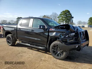 2022 Chevrolet Silverado 1500 LT Trail Boss with VIN 1GCPYFEL7NZ220493, listed as a Copart auction lot 47738795 with 38,194 mi miles and Salvage Title. Bid and sale history available at DreamBid. Image 4.