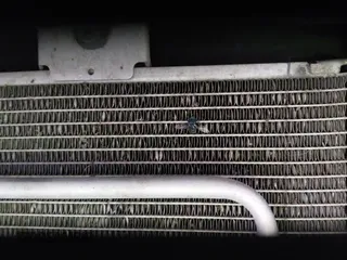 2006 Dodge Dakota SLT с VIN 1D7HW48N16S508036, выставлен на аукционе IAAI как лот 43520375 с пробегом 168 810 миль миль и . История ставок и продаж доступна на DreamBid. Изображение 19.