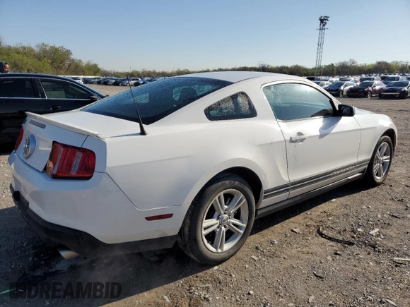 2010 Ford Mustang V6 with VIN 1ZVBP8ANXA5141446, listed as a Copart auction lot 52023755 with 96,093 mi miles and Salvage Title. Bid and sale history available at carsss.com. Image 3.