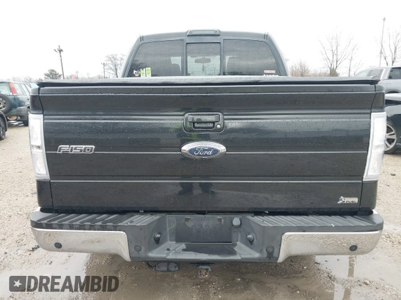2010 Ford F-150 XL with VIN 1FTFW1EVXAFA30169, listed as a IAAI auction lot 41932388 with 263,967 mi miles. Bid and sale history available at carsss.com. Image 16.