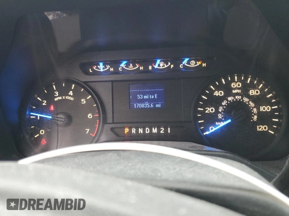 2020 Ford F-150 XL z VIN 1FTFX1E5XLFC07433, wystawiony jako Copart lot #46098085 z przebiegiem 170 835 mil mil oraz Czysty tytuł • Clean title. Historia ofert i sprzedaży dostępna na DreamBid. Obrazek 9.