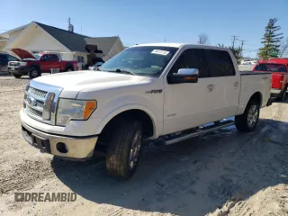 2011 Ford F-150 XLT with VIN 1FTFW1ET1BFC64913, listed as a Copart auction lot 49413115 with 204,750 mi miles and Clean Title. Bid and sale history available at carsss.com. Image 1.