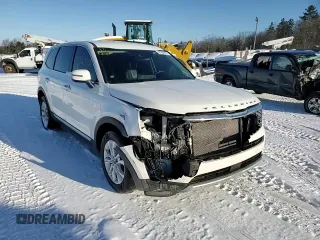 2020 Kia Telluride LX с VIN 5XYP24HC1LG029679, выставлен на аукционе Copart как лот 43363915 с пробегом 60 979 миль миль и Списание • Salvage title. История ставок и продаж доступна на DreamBid. Изображение 14.