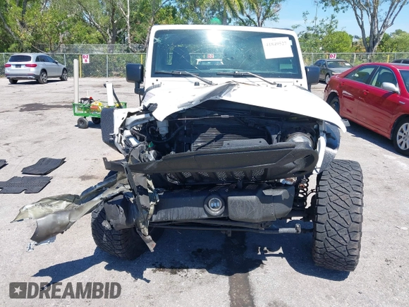 2016 Jeep Wrangler Unlimited Sport with VIN 1C4BJWDG3GL282787, listed as a IAAI auction lot 41849527 with 75,578 mi miles and . Bid and sale history available at DreamBid. Image 6.