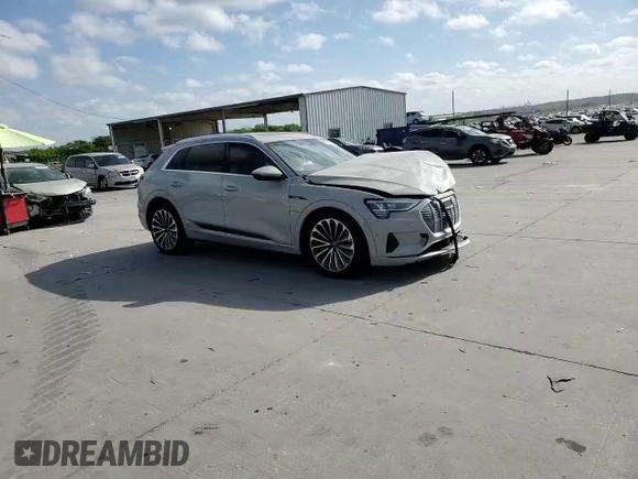 2019 Audi e-tron Prestige with VIN WA1VABGEXKB011122, listed as a Copart auction lot 48333563 with 25,542 mi miles. Bid and sale history available at carsss.com. Image 11.