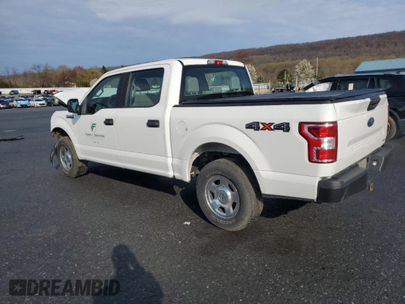 2019 Ford F-150 XL with VIN 1FTEW1EP1KFA67786, listed as a Copart auction lot 53103915 with 126,108 mi miles and Salvage Title. Bid and sale history available at carsss.com. Image 2.