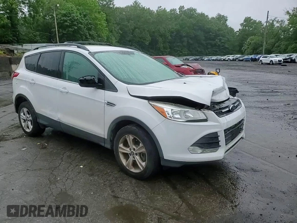 2014 Ford Escape SE with VIN 1FMCU9GX1EUE28700, listed as a Copart auction lot 59841745 with 135,210 mi miles and Salvage title. Bid and sale history available at DreamBid. Image 14.