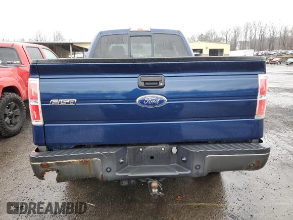 2009 Ford F-150 XL with VIN 1FTPX14V29KB98328, listed as a Copart auction lot 49290255 with 167,707 mi miles and Clean Title. Bid and sale history available at carsss.com. Image 6.