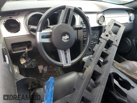2006 Ford Mustang Standard with VIN 1ZVFT80N465176960, listed as a Copart auction lot 58125205 with Not provided miles and Salvage title. Bid and sale history available at DreamBid. Image 8.