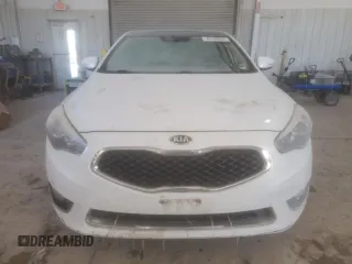 2015 Kia Cadenza Premium with VIN KNALN4D72F5194052, listed as a Copart auction lot 46160655 with 188,667 mi miles and Salvage Title. Bid and sale history available at carsss.com. Image 5.