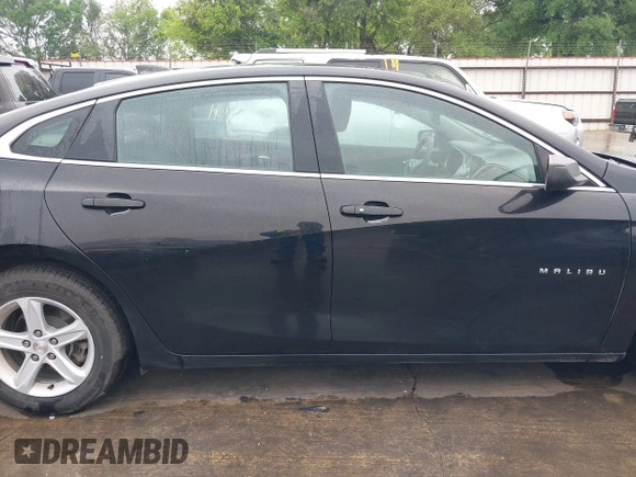 2019 Chevrolet Malibu LS with VIN 1G1ZB5ST1KF179471, listed as a IAAI auction lot 41945879 with 141,498 mi miles and . Bid and sale history available at DreamBid. Image 14.