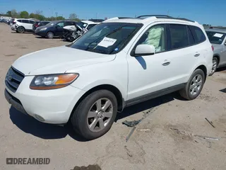 2009 Hyundai Santa Fe SE with VIN 5NMSH13E09H265061, listed as a IAAI auction lot 41851575 with 136,460 mi miles. Bid and sale history available at carsss.com. Image 17.