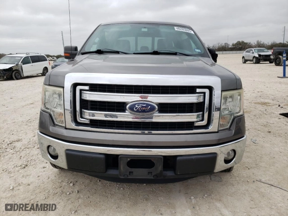 2013 Ford F-150 XL with VIN 1FTEW1CM5DFC29074, listed as a Copart auction lot 48265805 with 171,912 mi miles and Salvage Title. Bid and sale history available at carsss.com. Image 5.