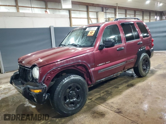 2002 Jeep Liberty Limited with VIN 1J4GL58K62W358660, listed as a Copart auction lot 61719985 with 195,873 mi miles and Salvage title. Bid and sale history available at DreamBid. Image 1.