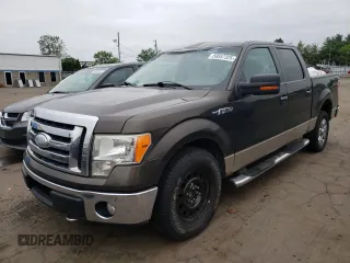 2009 Ford F-150 XL with VIN 1FTRW14889KC35761, listed as a Copart auction lot 59557325 with 256,064 mi miles and Salvage title. Bid and sale history available at DreamBid. Image 1.