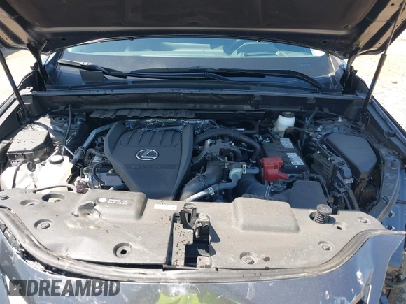 2024 Lexus NX 350 Premium with VIN 2T2GGCEZ4RC053138, listed as a IAAI auction lot 42086893 with 8,335 mi miles and . Bid and sale history available at DreamBid. Image 10.