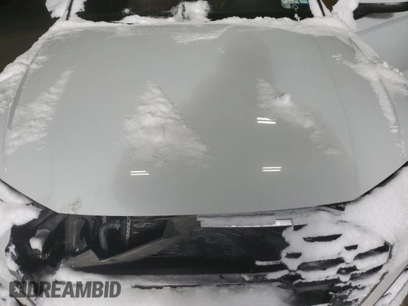 2021 Audi Q5 Premium Plus with VIN WA1E2AFYXM2055319, listed as a Copart auction lot 88790095 with 50,443 mi miles and Salvage Title. Bid and sale history available at carsss.com. Image 11.