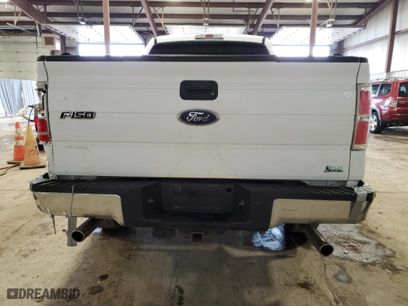 2010 Ford F-150 XL with VIN 1FTFX1EV6AFC03070, listed as a Copart auction lot 51765525 with 133,255 mi miles and Salvage Title. Bid and sale history available at carsss.com. Image 6.