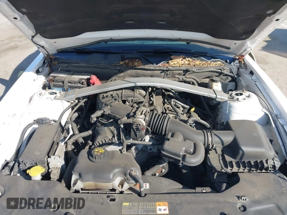 2012 Ford Mustang V6 with VIN 1ZVBP8EM4C5237285, listed as a IAAI auction lot 42601890 with 161,176 mi miles and . Bid and sale history available at DreamBid. Image 10.