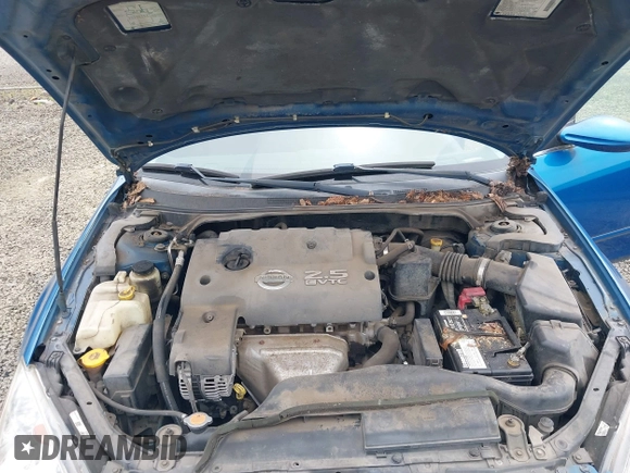 2003 Nissan Altima S with VIN 1N4AL11DX3C122201, listed as a IAAI auction lot 42261672 with 19,661 mi miles and . Bid and sale history available at DreamBid. Image 10.