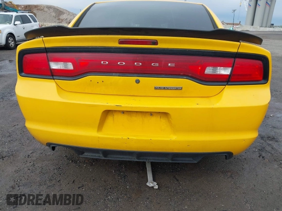 2014 Dodge Charger Police with VIN 2C3CDXAT9EH350916, listed as a IAAI auction lot 42030015 with 222,044 mi miles and . Bid and sale history available at DreamBid. Image 18.