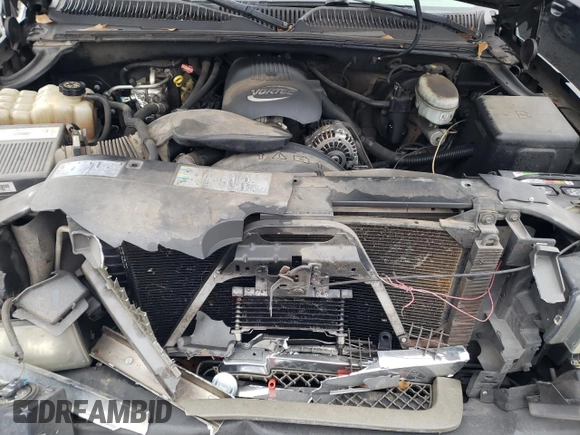 2003 Chevrolet Silverado 1500 LS with VIN 1GCEC19T53Z208228, listed as a Copart auction lot 44546895 with 299,266 mi miles and Salvage Title. Bid and sale history available at DreamBid. Image 11.