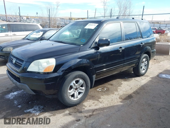 2005 Honda Pilot EX-L with RES with VIN 2HKYF18605H545609, listed as a IAAI auction lot 41626754 with 235,647 mi miles. Bid and sale history available at carsss.com. Image 2.