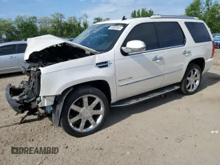 2012 Cadillac Escalade Luxury z VIN 1GYS4BEF9CR116488, wystawiony jako Copart lot #54800955 z przebiegiem 167 382 mil mil oraz Szkoda całkowita • Salvage title. Historia ofert i sprzedaży dostępna na DreamBid. Obrazek 1.