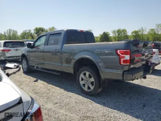 2019 Ford F-150 XL with VIN 1FTFW1E52KFD24795, listed as a Copart auction lot 53273995 with 48,181 mi miles and Salvage Title. Bid and sale history available at carsss.com. Image 2.