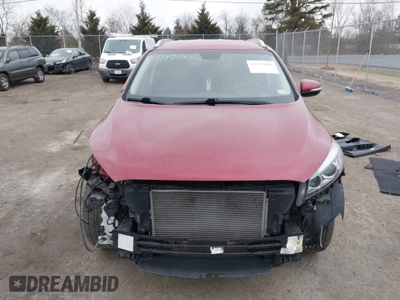 2016 Kia Sorento LX with VIN 5XYPGDA38GG165504, listed as a IAAI auction lot 41719002 with 126,424 mi miles. Bid and sale history available at carsss.com. Image 13.
