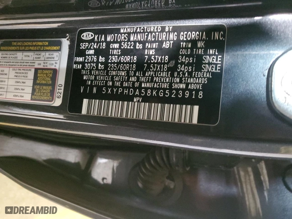 2019 Kia Sorento EX V6 with VIN 5XYPHDA58KG523918, listed as a Copart auction lot 44160935 with 169,987 mi miles and Clean Title. Bid and sale history available at carsss.com. Image 13.
